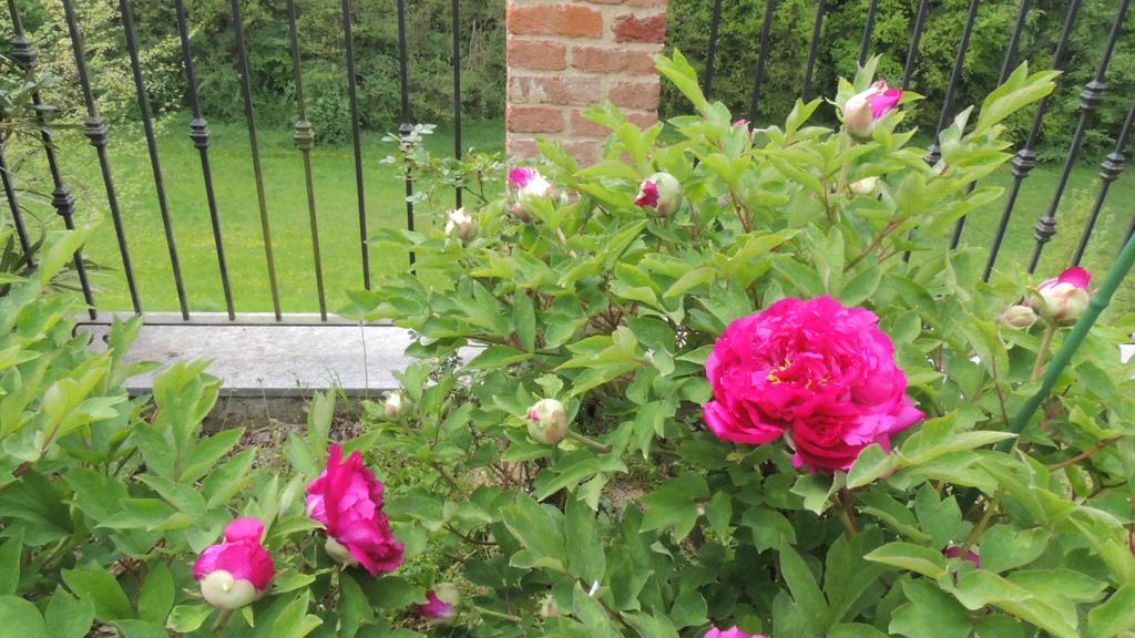 Cantarana Cascina Caldera旅馆 外观 照片